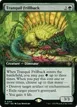 Tranquil Frillback #164