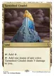Tarnished Citadel #112