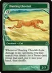 Hunting Cheetah #134