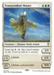 Transcendent Master #23