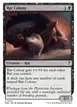 Rat Colony #47