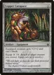 Copper Carapace #102