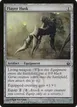 Flayer Husk #107