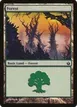 Forest #155