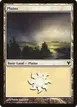 Plains #19