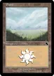 Plains #181