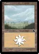 Plains #182