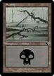 Swamp #189