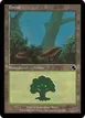 Forest #193