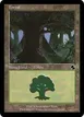 Forest #195