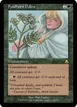 Fyndhorn Pollen #166