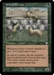 Joven's Ferrets #169