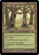 Havenwood Battleground #230