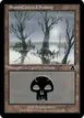 Snow-Covered Swamp #243