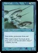 Narwhal #57