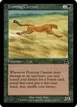 Hunting Cheetah #124