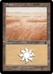 Plains #218