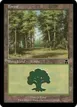 Forest #228