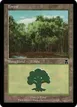 Forest #230