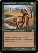 Citanul Druid #146