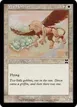 Wild Griffin #35