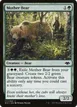 Mother Bear #171