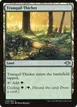 Tranquil Thicket #248