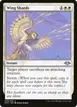 Wing Shards #38