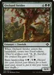 Orchard Strider #169