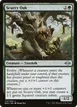Scurry Oak #172