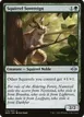 Squirrel Sovereign #175