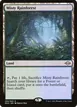 Misty Rainforest #250