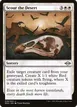 Scour the Desert #28
