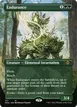 Endurance #317