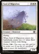 Soul of Migration #33