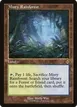 Misty Rainforest #438