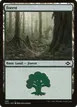 Forest #489
