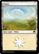 Plains #310