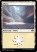 Plains #311