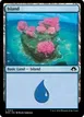 Island #313