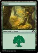 Forest #318