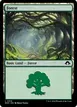 Forest #319