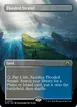 Flooded Strand #353