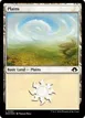 Plains #497