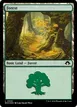 Forest #505