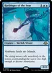 Harbinger of the Seas #63