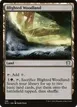 Blighted Woodland #166
