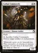 Cathar Commando #10