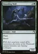 Bounding Wolf #170