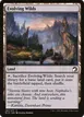 Evolving Wilds #261